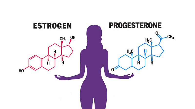 Estrogen và progesterone