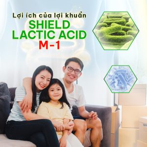 Lợi khuẩn Shield Lactic Acid Bacteria ® M1 có trong Biken Spirulina EX 29