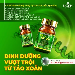 Dinh dưỡng vượt trội