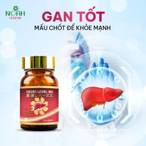 Thực phẩm giải độc gan tốt - Noah Legend