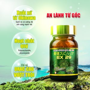 Tảo Spirulina xuất xứ từ Okinawa