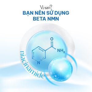 β-NMN tinh khiết giúp tăng cường sản sinh NAD+